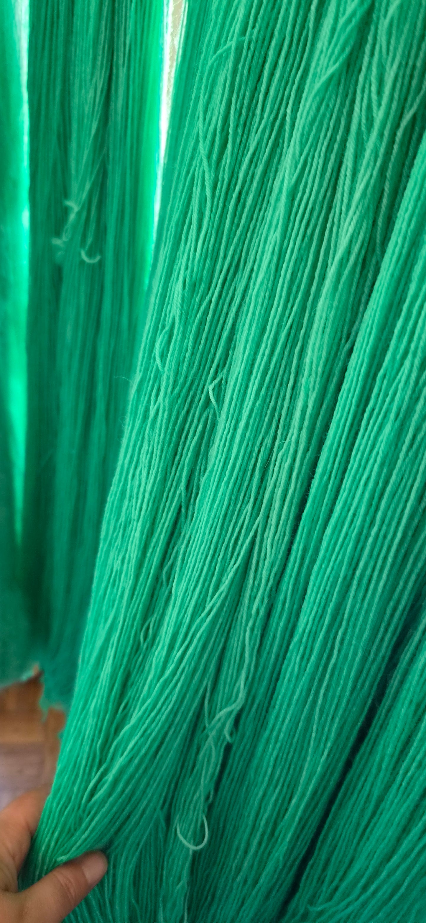 Bfl - Galapagos erreur dosage