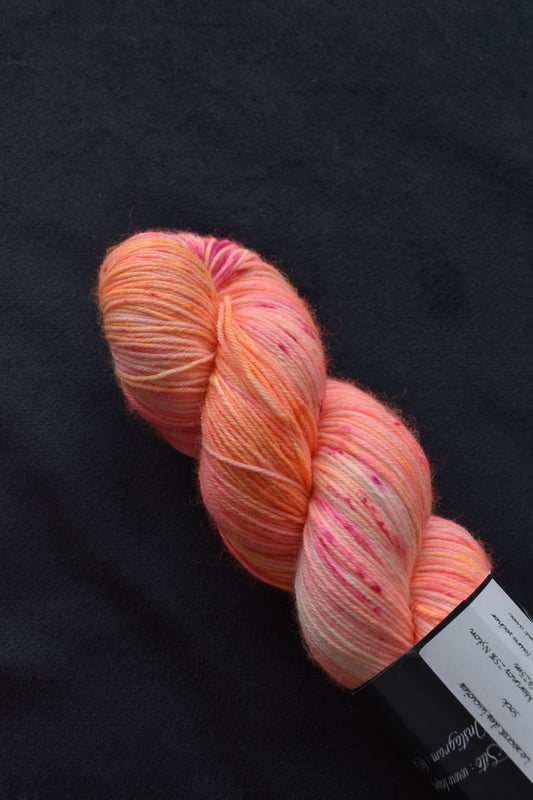 Sock - Le secret des lucioles