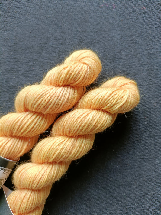Minis Sock - Caramel de kumquat ensorcelé