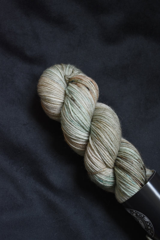 Dk Sock - La litanie des ours enneigés