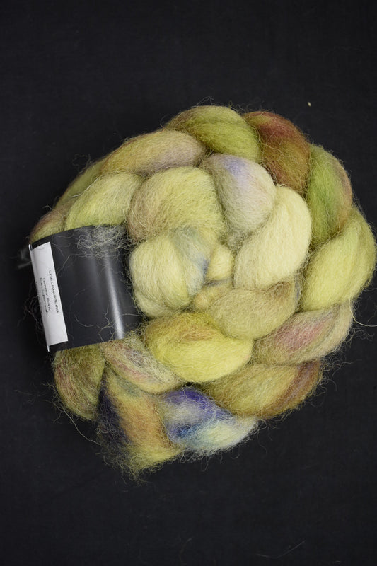 Exmoor Horn NWS - Cric Crac Gnoma