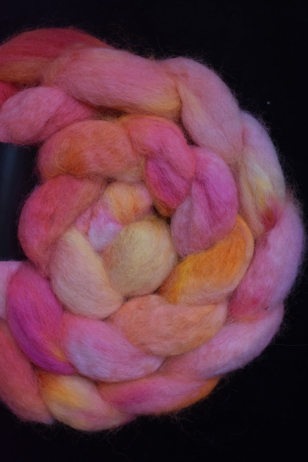 Bfl NSW - Le secret des lucioles