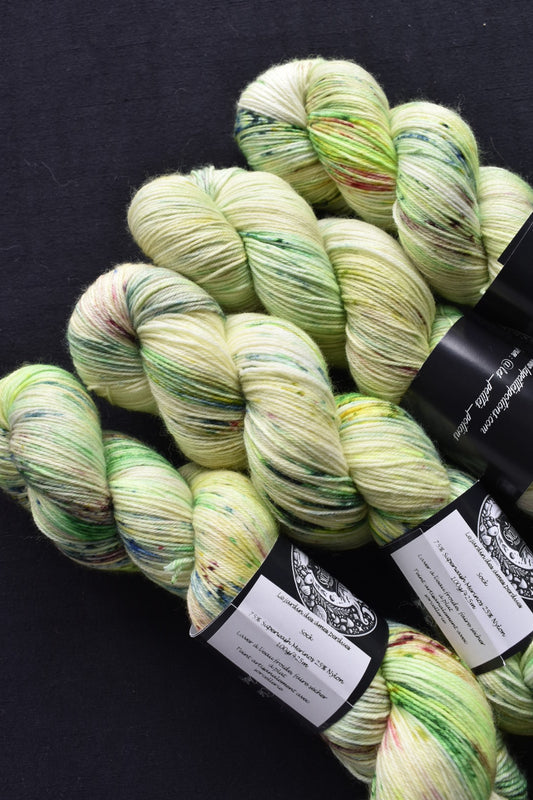 Sock - Le jardin des âmes perdues
