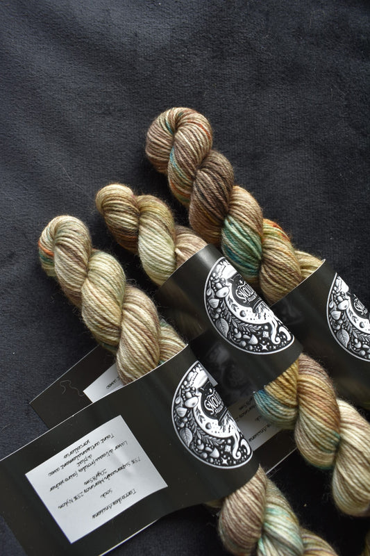 Minis - Terre des Anciens